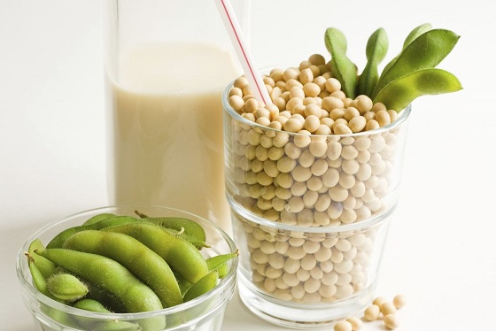 Cách làm mầm đậu lành nguyên xơ